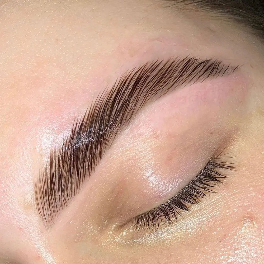 Eyebrow Lamination | Spa Services | Encanta Cejas