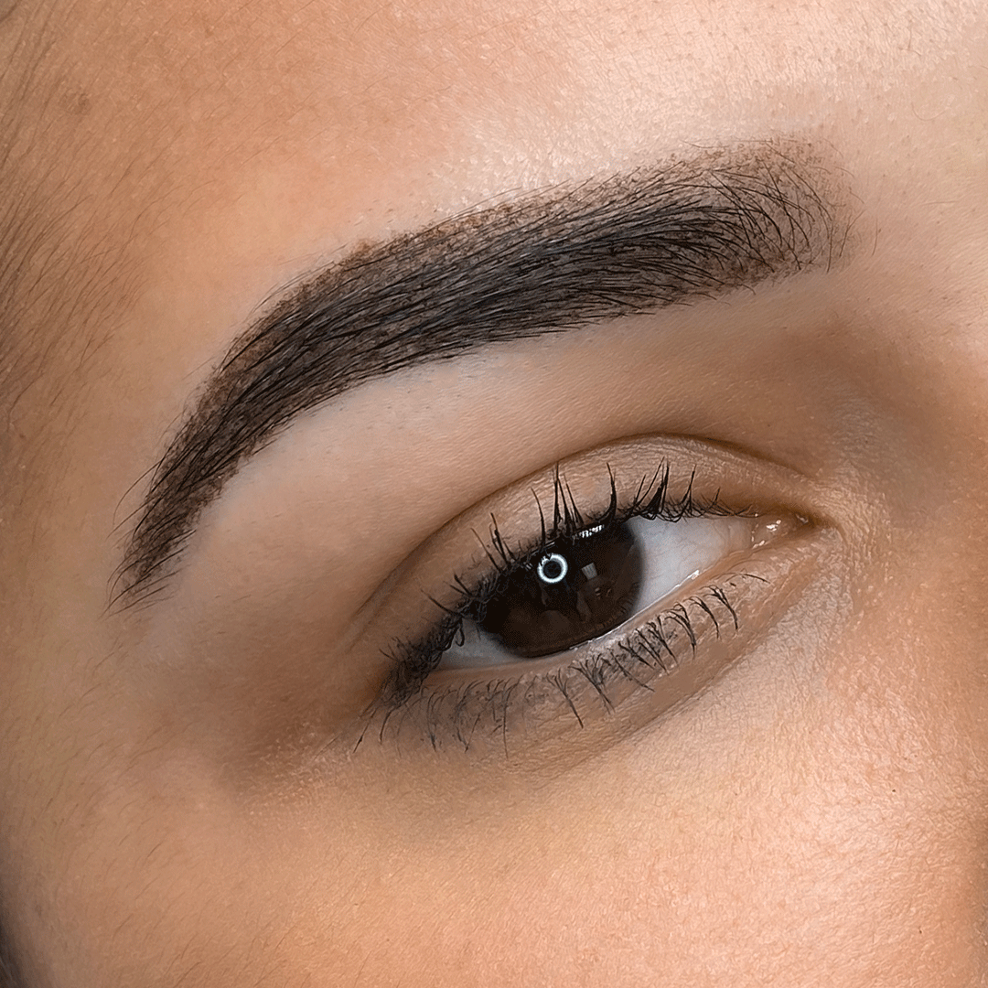 Eyebrow Powder | Brow Lamination | Encanta Cejas