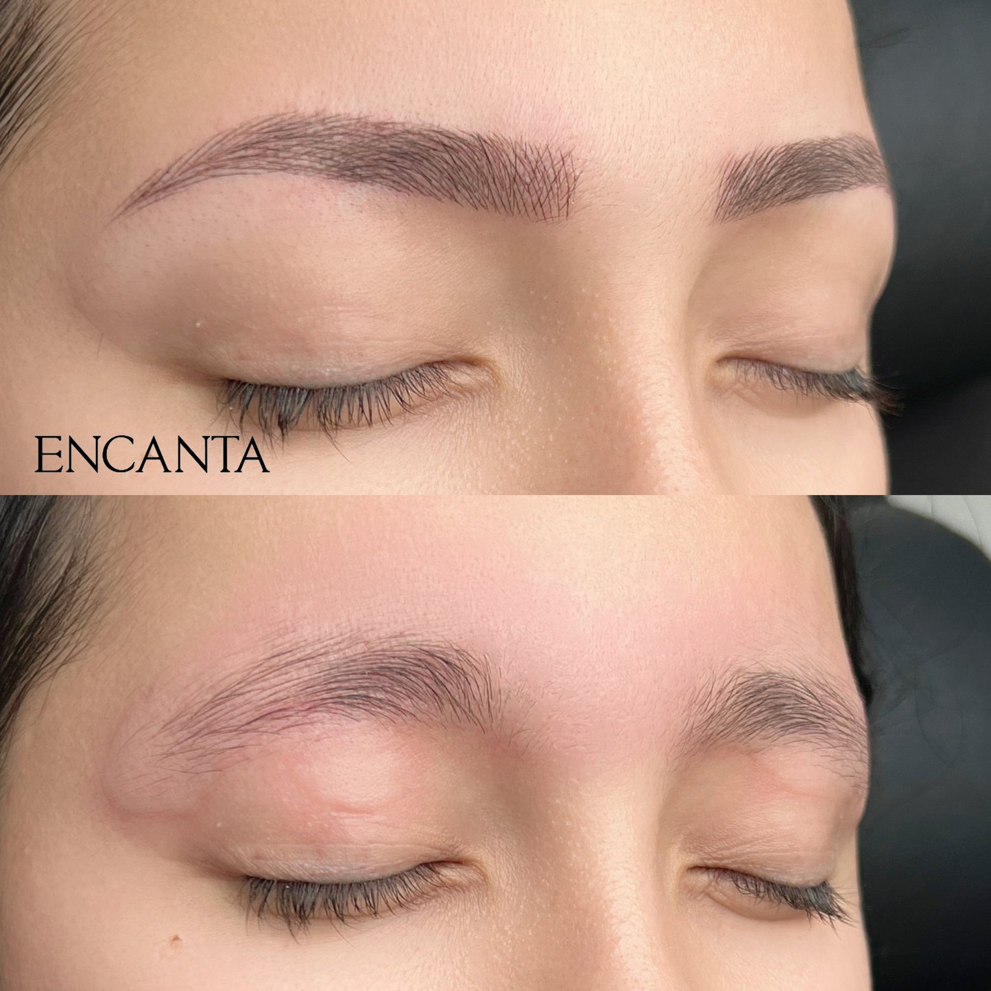 
                  
                    Eyebrow Touch Up 6  Month
                  
                