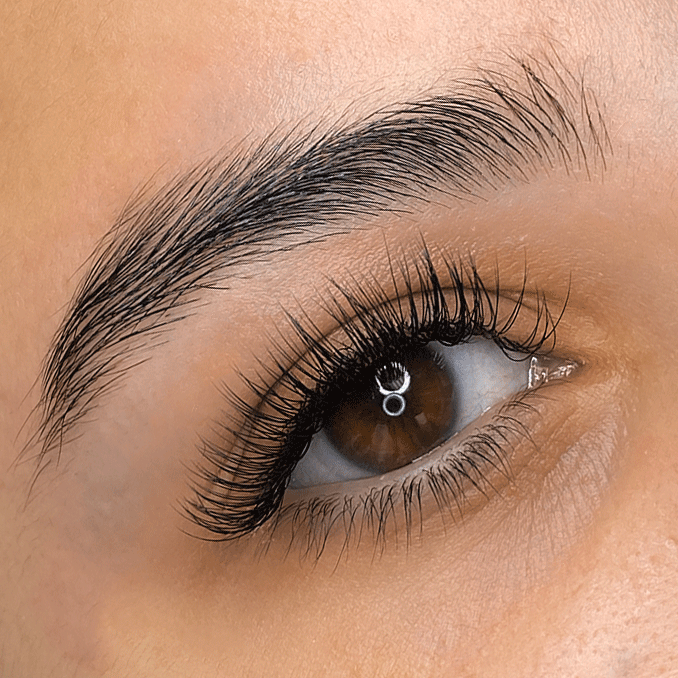 
                  
                    Classic Full Set | Eyelash Extensions | Encanta Cejas
                  
                