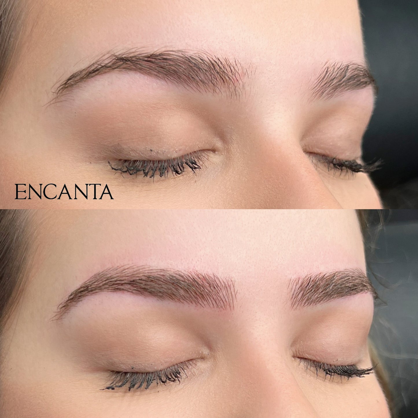 
                  
                    Eyebrow Microblading | Permanent Makeup | Encanta Cejas
                  
                