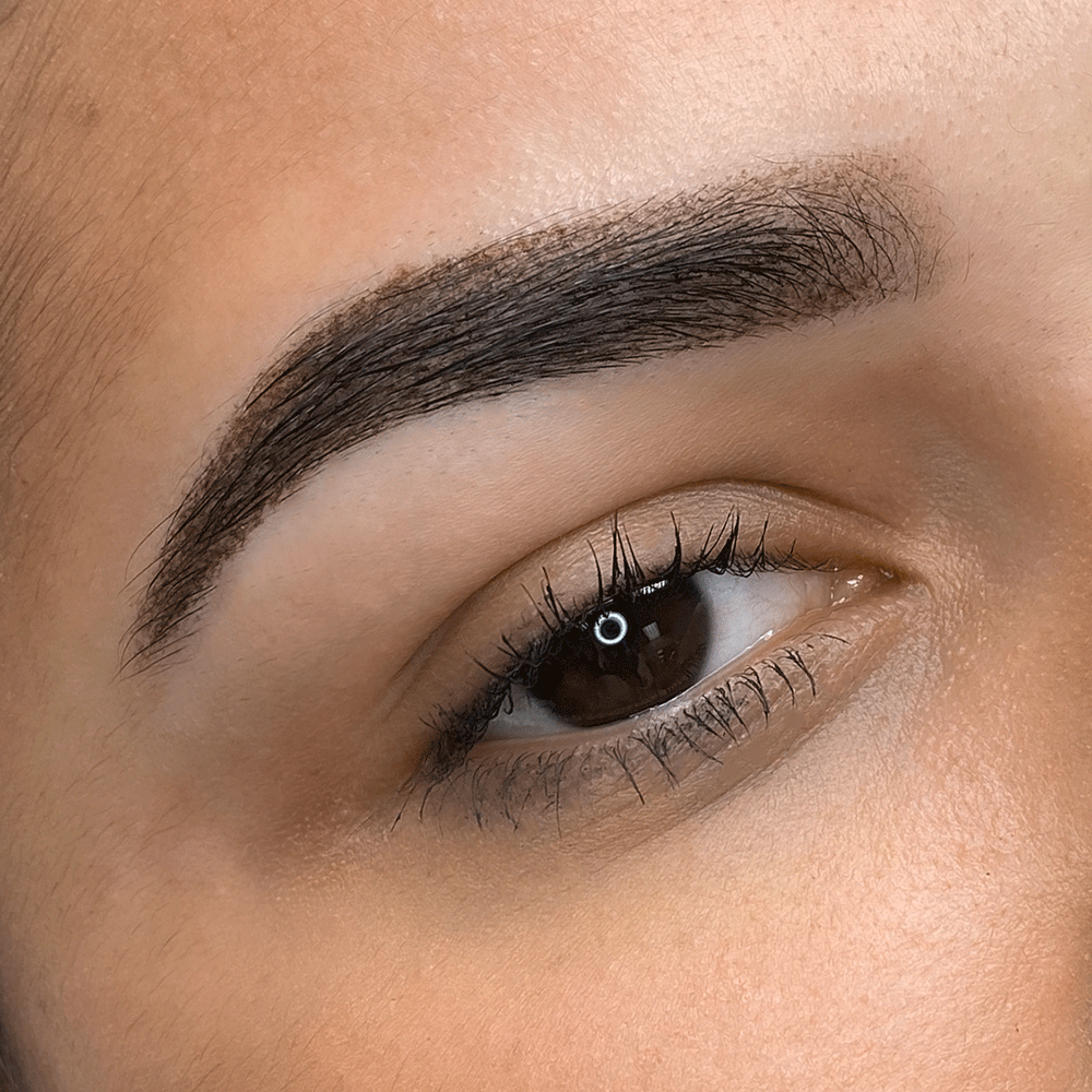 
                  
                    Eyebrow Powder | Brow Lamination | Encanta Cejas
                  
                